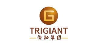 俊知集团